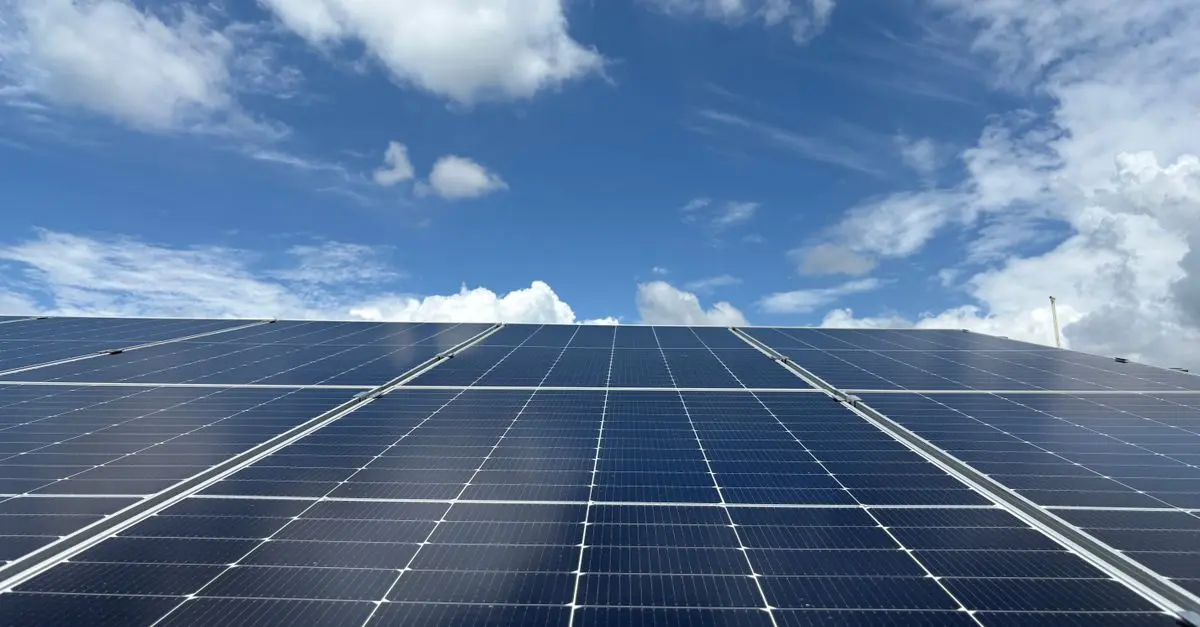Les différentes technologies de panneaux solaires : qui choisir ?