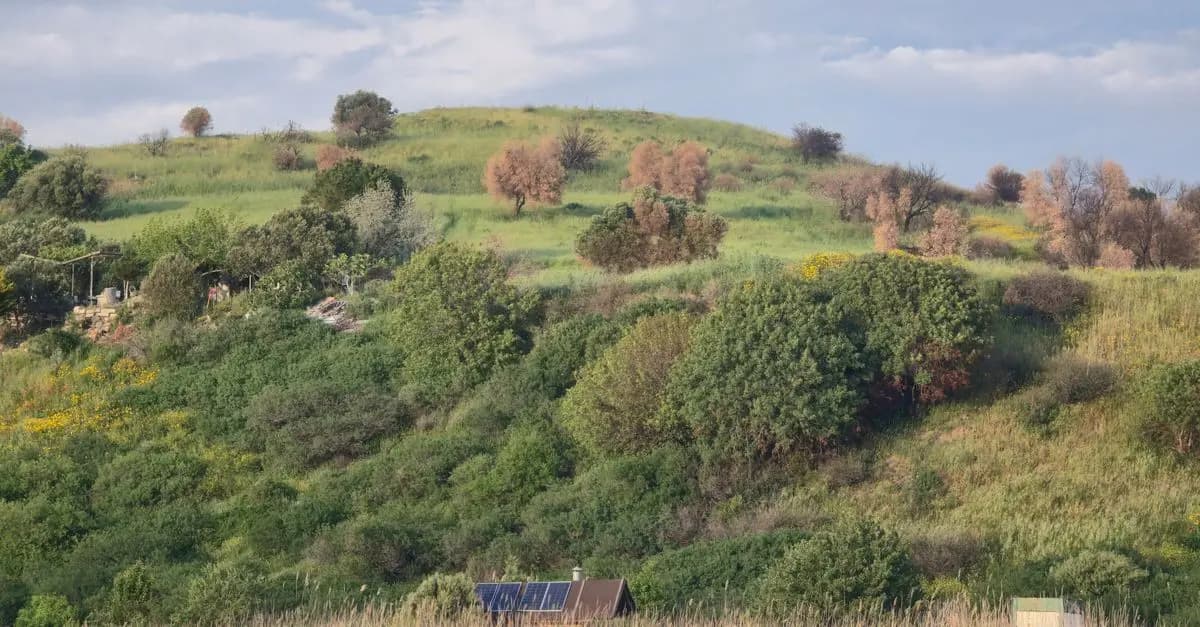 Les subventions disponibles pour l'énergie solaire