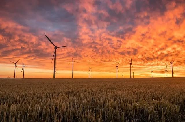 Les enjeux économiques de l'énergie solaire en France