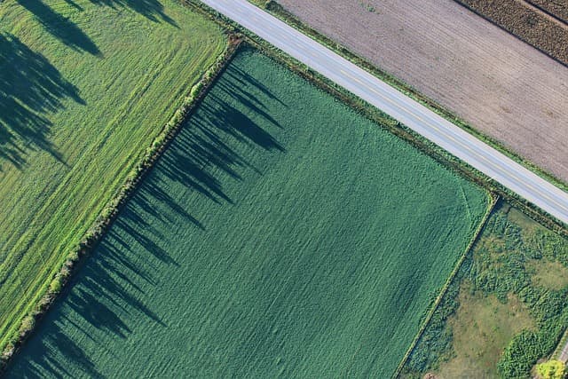 Les 10 meilleures pratiques pour entretenir vos panneaux solaires